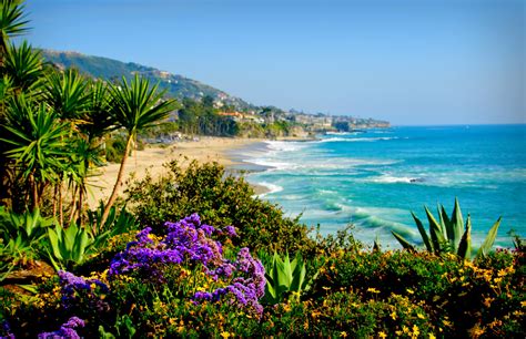 laguna beach wallpaper